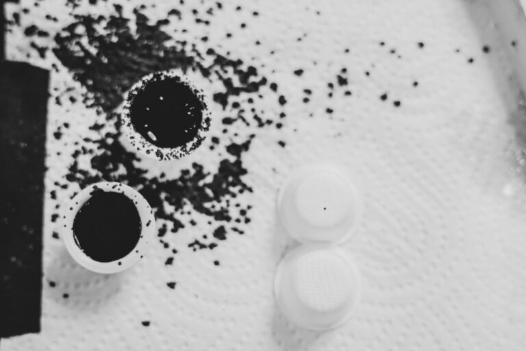 Carritatif Tatoo Days 2023